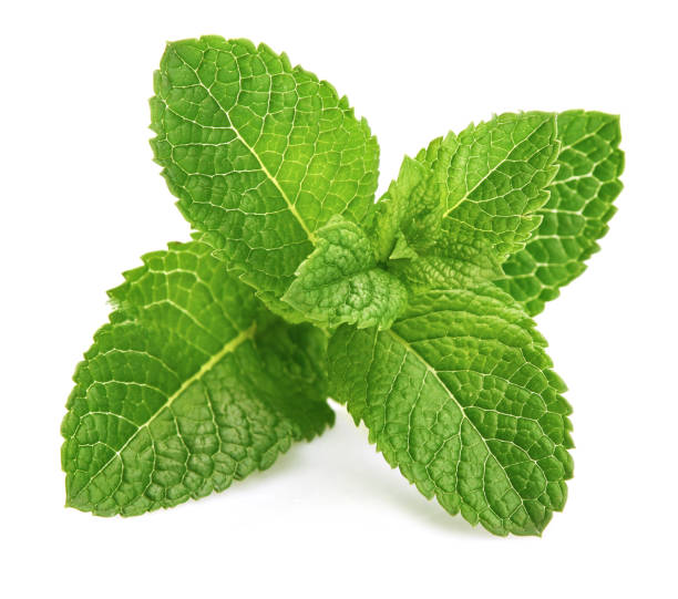 Peppermint and how it benefits the skin – Herb'N Eden