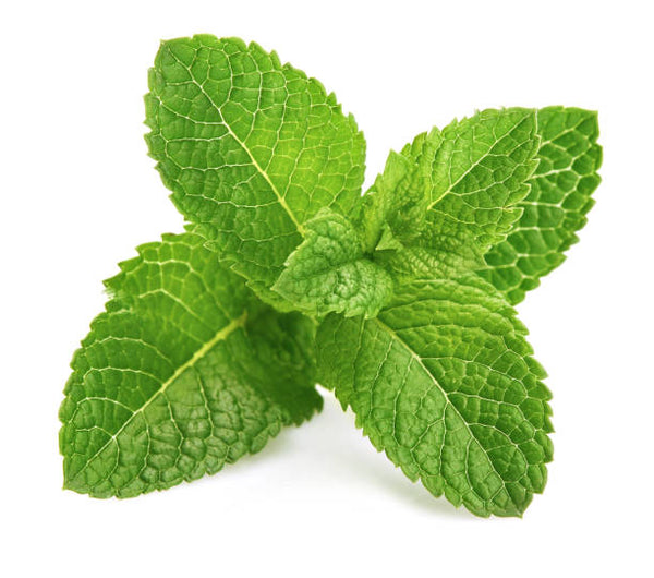 Benefits of Peppermint for Skin